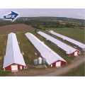 Automatic Prefabricated Steel Structure Poultry Farm Building Shed Chicken Broiler Commercial Chicken Houses